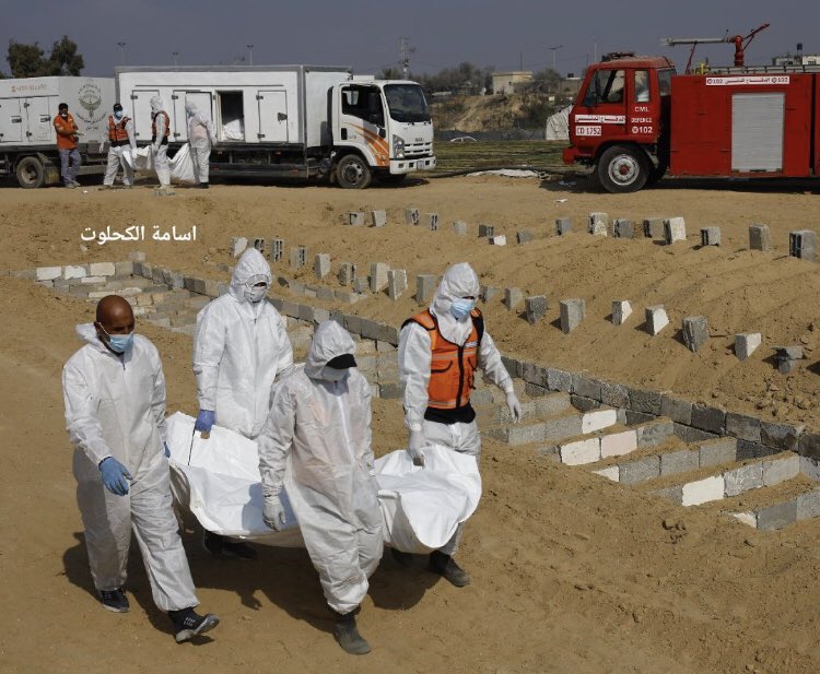 S2FUncensored tweet media