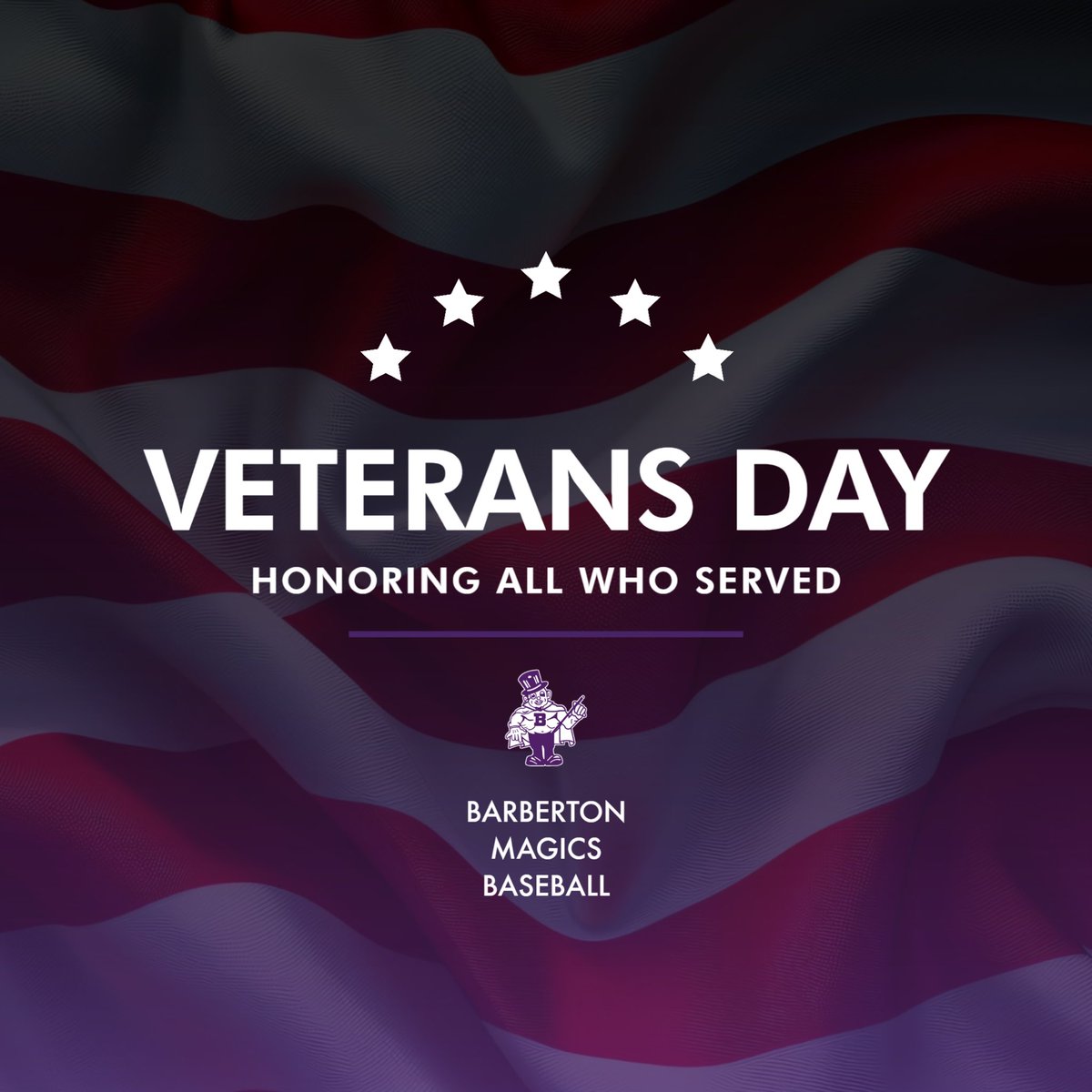 Barberton Magics Baseball tweet media