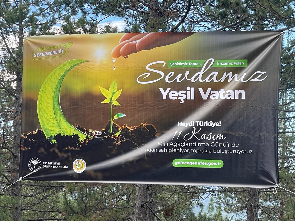Bu özel günde bizler “Yeşil Vatan”ın sessiz kahramanlarıydık…

Milli Ağaçlandırma Günü’müz insanın doğayla barış imzaladığı  bir gündür. Her yıl, aynı vakitte, yurdun dört bir yanında binlerce el toprağa dokunur ve bu; bir ulusun geleceğe gönderdiği en yeşil, en saf selamıdır.