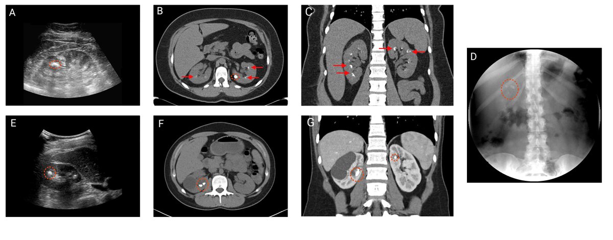 Abed Borghol tweet media