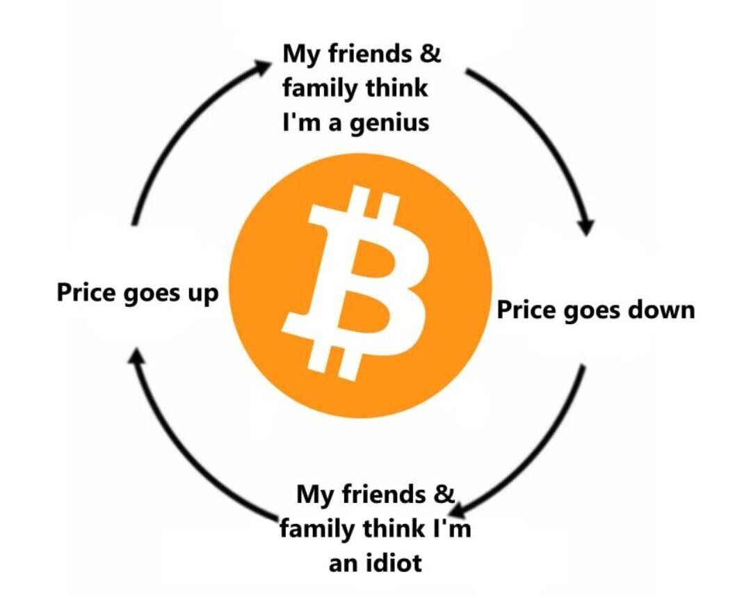 Bitcoin Archive tweet media