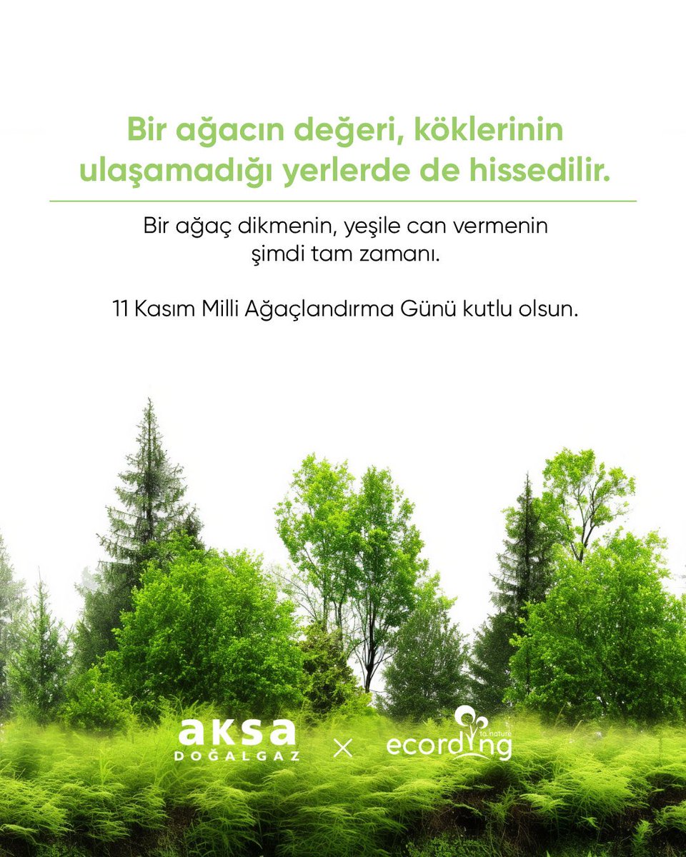 Abonelerimiz adına bıraktığımız binlerce tohum topu ile ecording iş birliğinde ormanlaştırma ve biyoçeşitlilik çalışmalarını destekliyor, doğanın nefesini korumak için teknolojiyle birleşiyoruz. 🌍💚