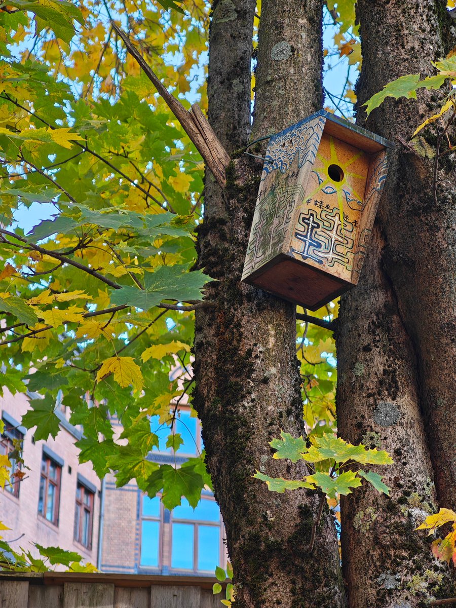 KatySnchez's tweet image. Caja nido colgada en un árbol durante el otoño. #otoño #caja #pajaros #nido #hacerfotos