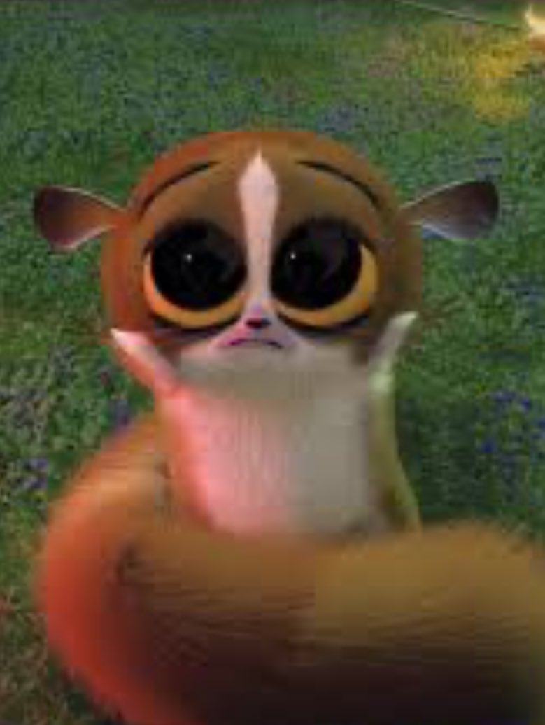 𝑙𝑢𝑢 🫀 tweet media