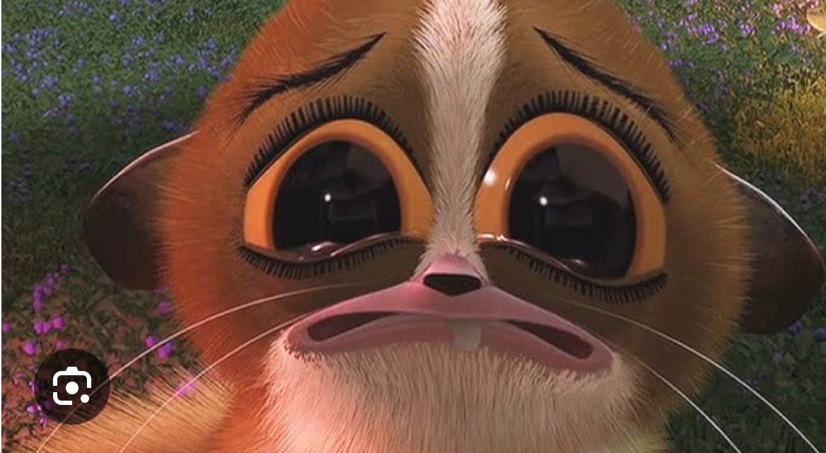 𝑙𝑢𝑢 🫀 tweet media