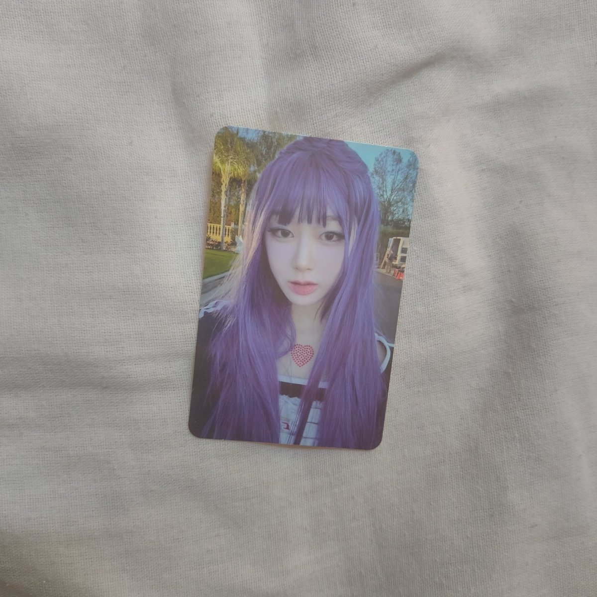 𝘧𝘦𝘩 tweet media