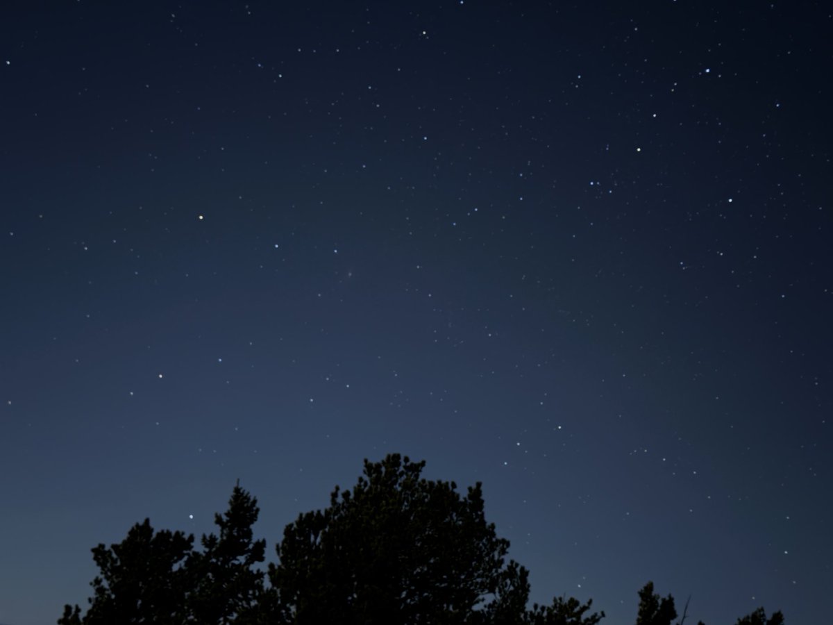 code_the_furry's tweet image. Night mode pictures are my favorite to take