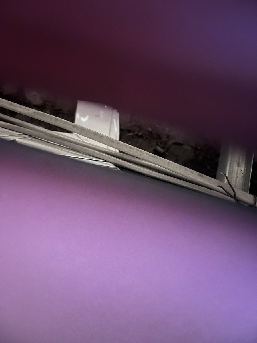 しろろ@お取引用 (@shiroro_tori) / Posts / X