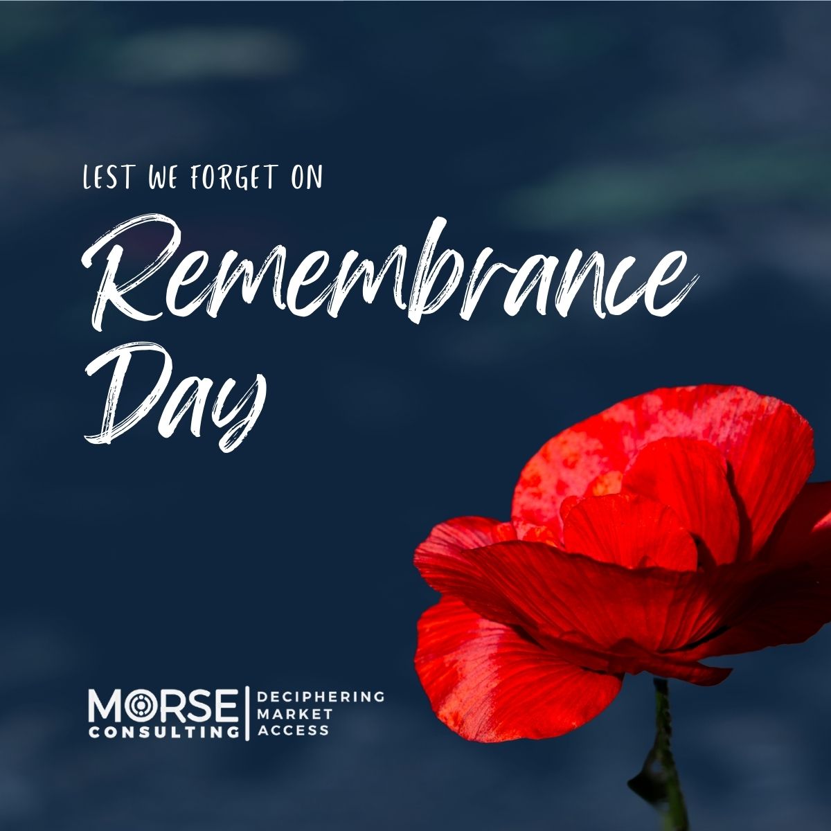 On Remembrance Day, we honour the courage of those who served. 🌺 Thank you to all veterans and active service members! #RemembranceDay #LestWeForget #MORSEConsulting