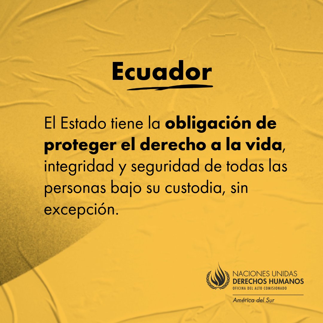 #Ecuador 🇪🇨

🗣️La tragedia en la cárcel de Machala exige una investigación pronta, exhaustiva e imparcial.

Una vez más, reiteramos la urgencia de una reforma penitenciaria integral con miras a lograr la rehabilitación social y reducir la reincidencia.

➡️acnudh.org/sobre-carceles…