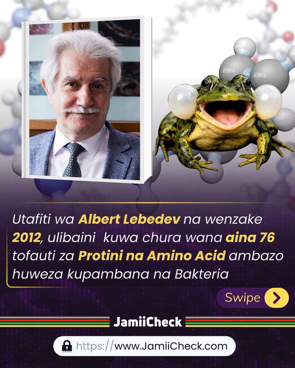 JamiiCheck's tweet photo. Mbinu hii ilitumika zaidi msimu wa joto kali katika mataifa kama Finland na Urusi.
Sifa hii ya Chura inatokana na uwezo wake wa kuzalisha aina maalumu ya Kemikali (#Protini na #AminoAcid) kupitia ngozi yake ambazo hupambana na bakteria pamoja na fangasi hivyo kusadia maziwa yasigande.
Zaidi Soma https://t.co/v6eeGBiGCR
#JamiiCheck #HakikiTaarifa #FactsCheck #FactsChecking #VisitJamiiCheck