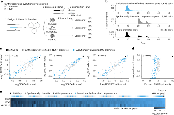 Nature Biotechnology tweet media