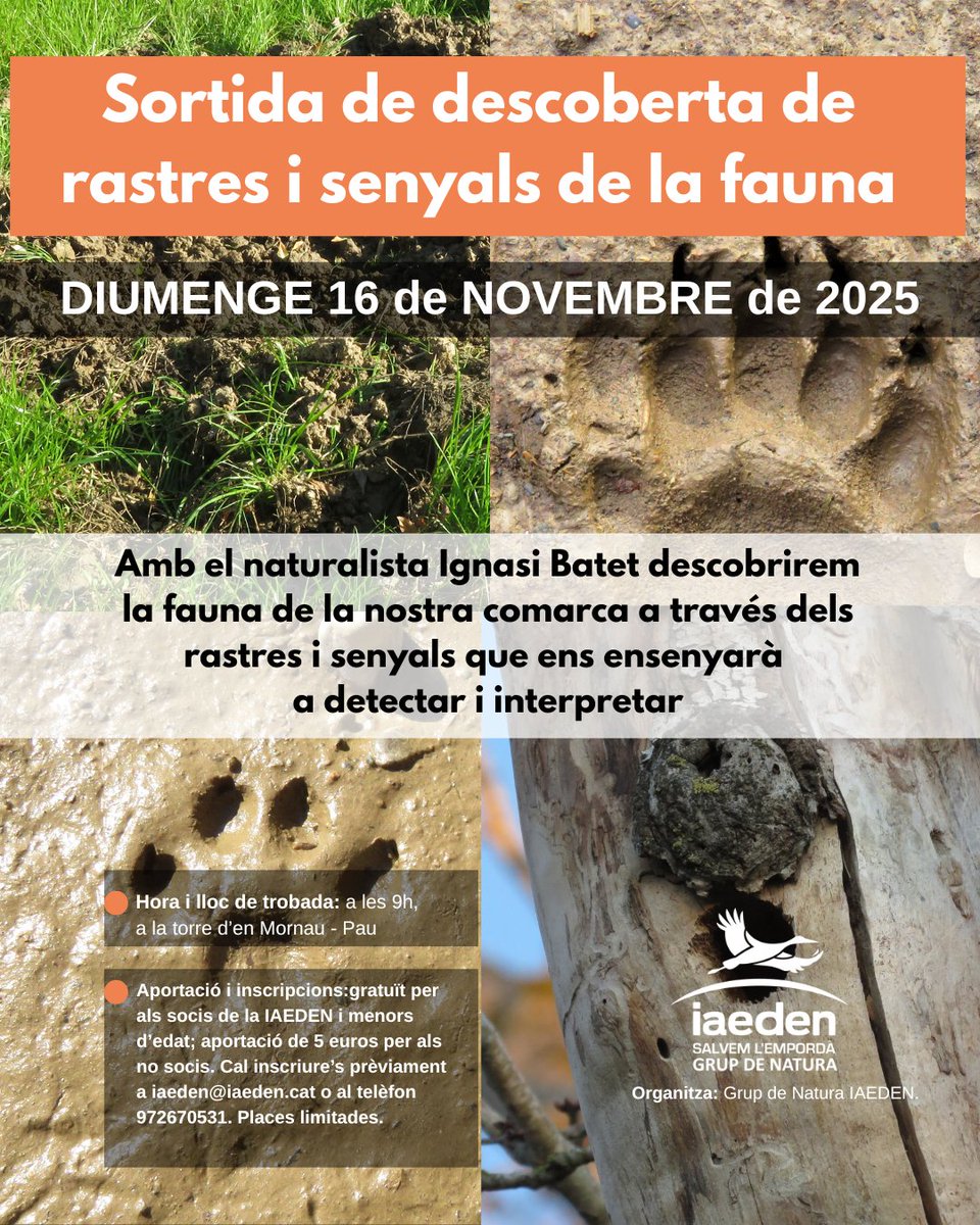 🦊 Descobreix els secrets amagats de la natura! 🌿
Vols aprendre a reconèixer els rastres i senyals que deixa la fauna al nostre entorn? 🐾
 📆Diumenge 16 de novembre a les 9h
🔗 Més informació a: iaeden.cat/.../sortida-de…
👉Inscriu-te a: iaeden@iaeden.cat