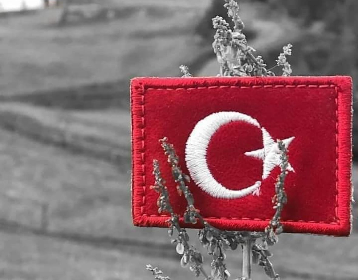 Azerbaycan’dan dönüş yolunda Gürcistan sınırında düşen askeri kargo uçağımızda şehit olan askerlerimize Yüce Allah’tan rahmet diliyorum. 
Türk Milletimize baş sağlığı diliyorum.