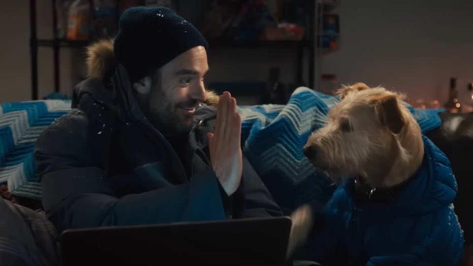 dianaxgatsby's tweet image. a christmas romcom with charlie cox, zooey deschanel and a dog?? oh, I’m sat. #merv