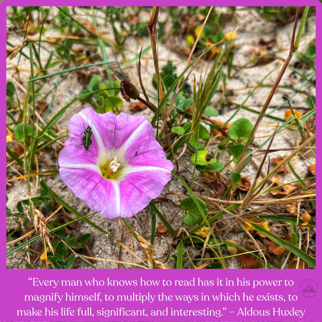 “Every man who knows how to read… multiplies the ways in which he exists.”
– Aldous Huxley

Spotted on the north coast of Germany: a flash of pink, a beetle, and a reminder that books don’t just inform — they expand.

#AldousHuxley #BookQuote #ReadersOfX #GreatExpectationsEducat