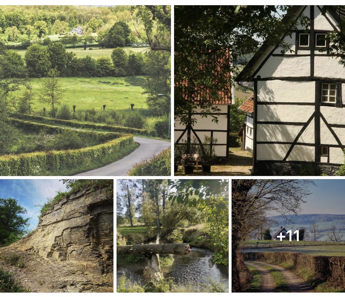 magnifiekZL's tweet image. Veel moois op Facebook nu: 15 x schitterend Cottessen in het zonnetje vanwege ons 10-jarige bestaan afgelopen zondag!🎉
#MagnifiekZL

facebook.com/share/1as9DcrJ…