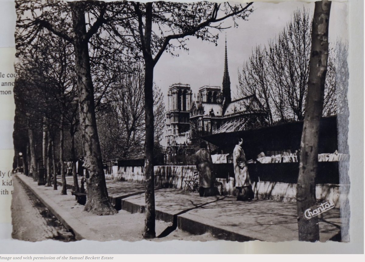 Princess Grace Irish Library - Monaco tweet media