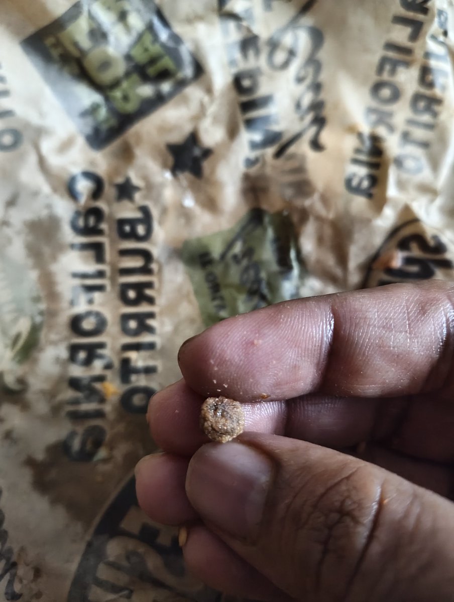 ganarendra's tweet photo. @Cali_Burrito I bought 7 veg Taco combos at RR Nagar outlet today evening &amp; found this stone in the Taco ! Not expected. https://t.co/KPU6G5jKYL