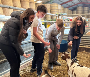 Droylsden Academy tweet media