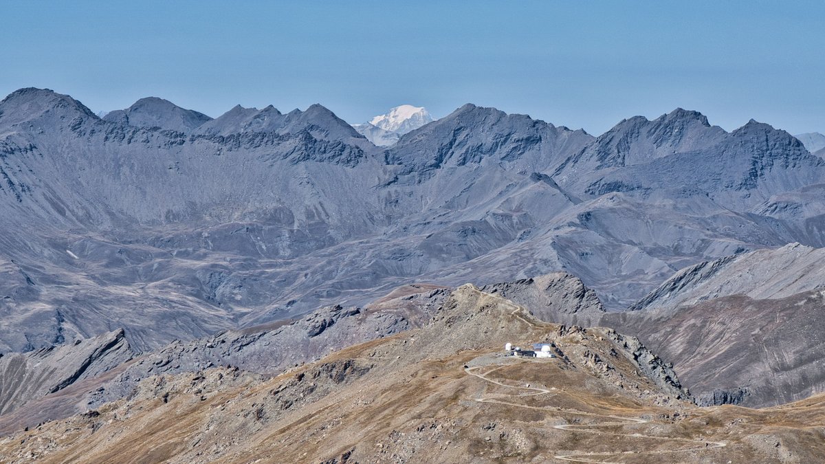 Franck Rando tweet media