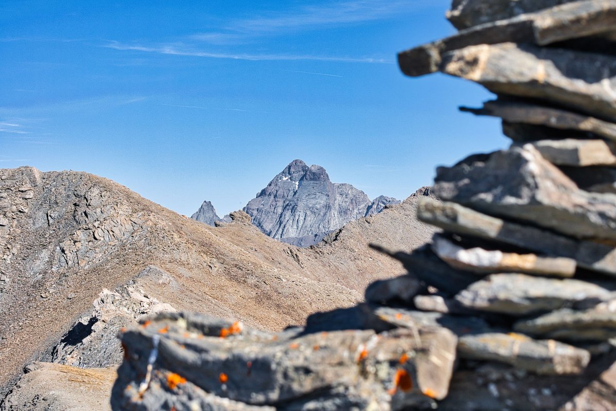 Franck Rando tweet media