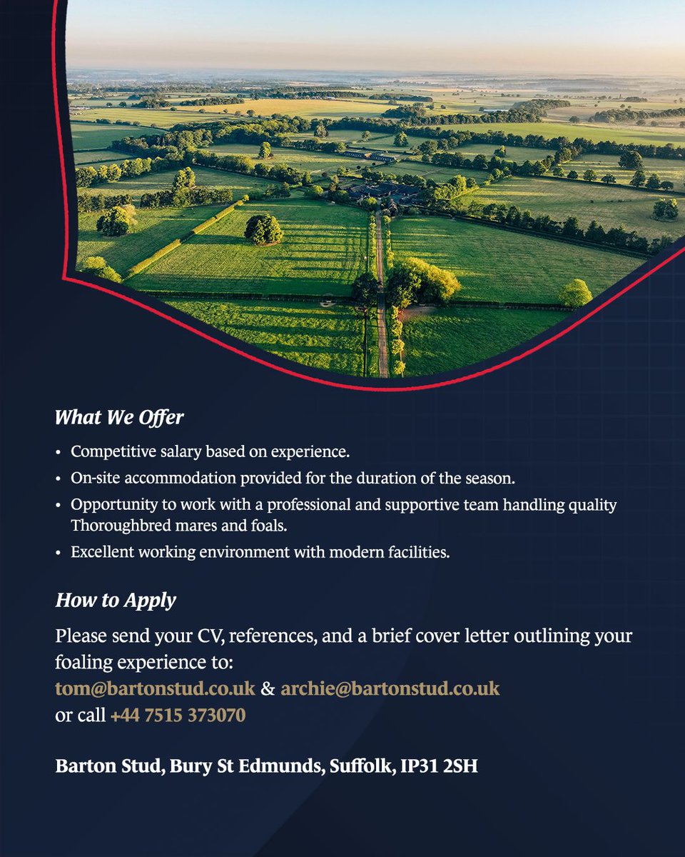 📣 We Are Hiring 📣

We’re seeking a Foaling Night Watch Person to join our team for the 2026 season.

The role involves monitoring mares overnight, assisting with foalings, and ensuring their welfare.

To apply 👇
📧 tom@bartonstud.co.uk &amp; archie@bartonstud.co.uk

#BartonStud