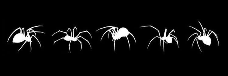 batty 🦇 tweet media