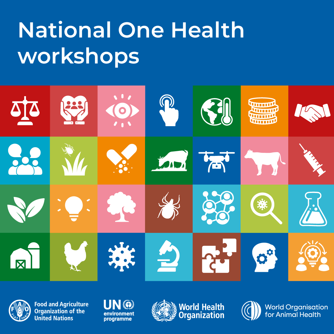 FAOMalawi's tweet photo. The @MalawiGovt &amp; @FAO, with support from @FCDOGovUK, convened the first National #OneHealth workshop organized by @FAO @UNEP @WHO @WOAH &amp; TDDAP2 to advance implementation of the One Health Joint Plan of Action, which will enable the development of a National OH Action Plan. https://t.co/mvpCp7meO3