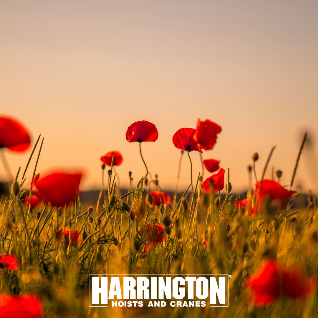 Today, we pause to recognize and thank all the brave men and women who have served our country. Your courage, dedication, and sacrifice protect the freedoms we all enjoy, and inspire us to work with the same integrity and commitment every day.

#VeteransDay #kitocrosby