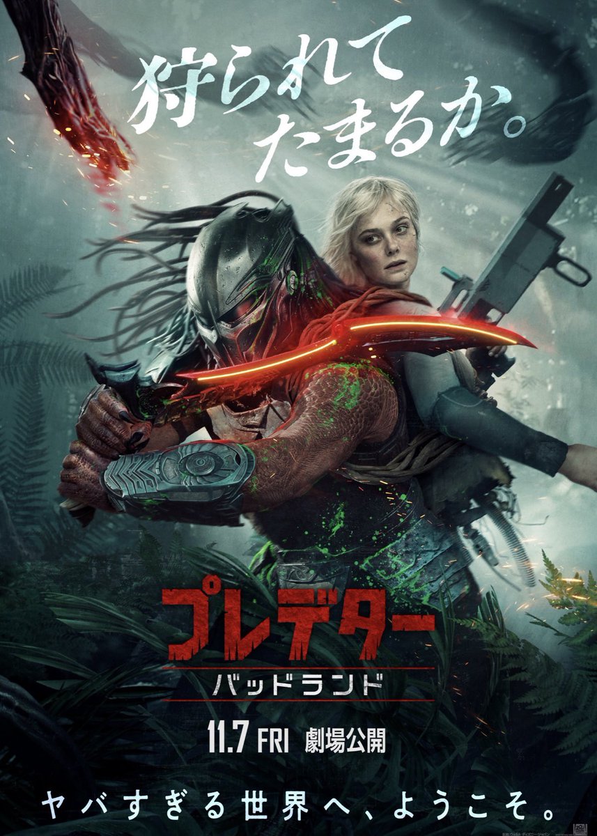 正行🐈‍⬛🌙 on X