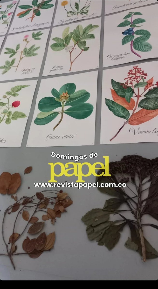 danielahg_art's tweet photo. *Dibujante, muralista y tatuadora, Daniela Hincapie Giraldo (El Peñol, Antioquia, 2001)*, artista participante en la BIAM25, quien conversó con el profesor e investigador Óscar Jairo González. Te invitamos a leer nuestro especial sobre la BIAM 2025, #Bienal Internacional   #Arte https://t.co/qrqCiioYkD