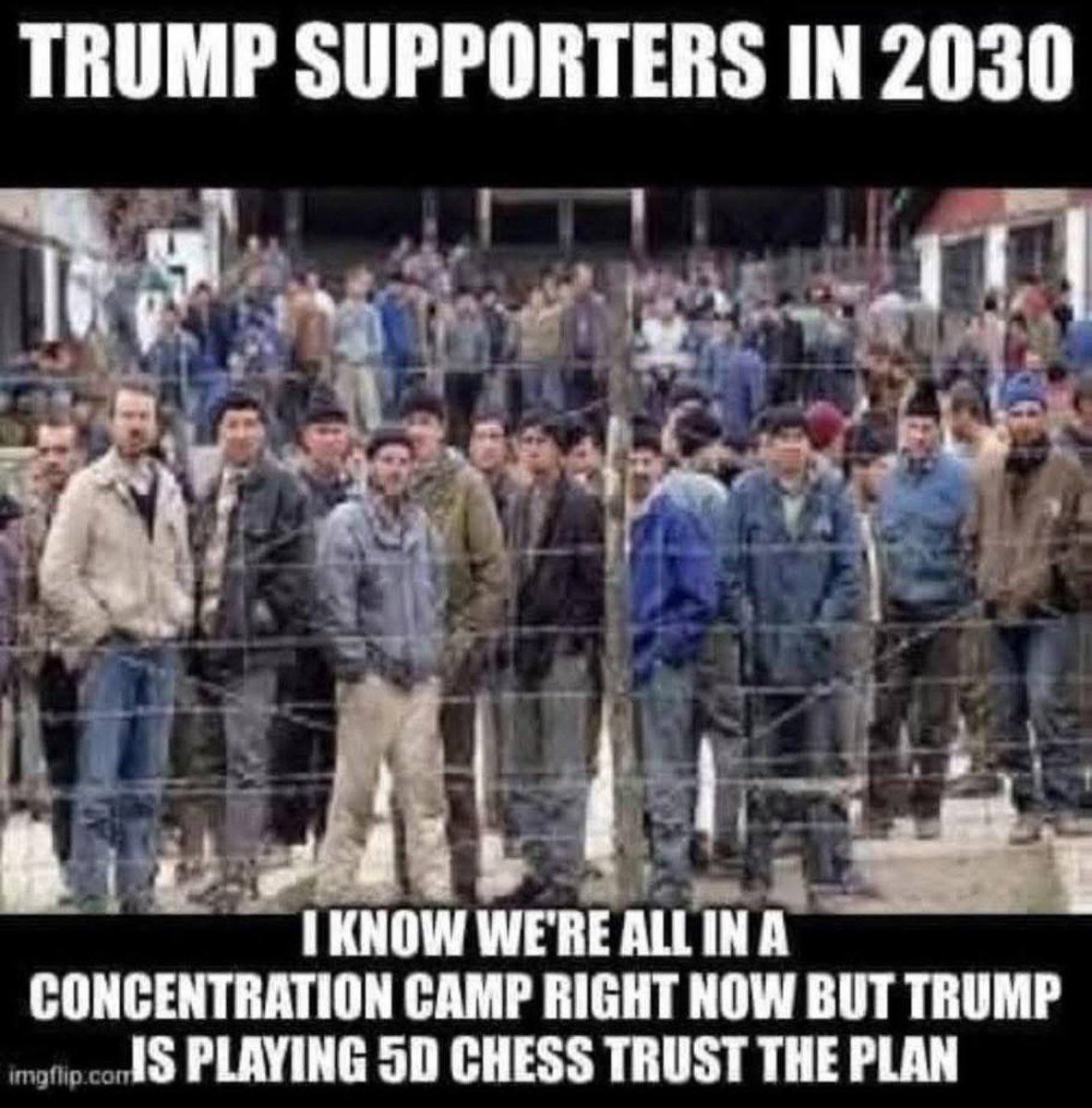 CindysCuriosity tweet media