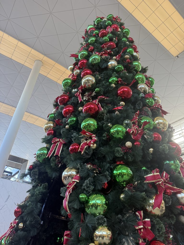 LFGweb3's tweet image. gm friends 🌲☕️
headed to ohio 🛫
nice 🎄 tree, @DFWAirport 
have a great day ✌️