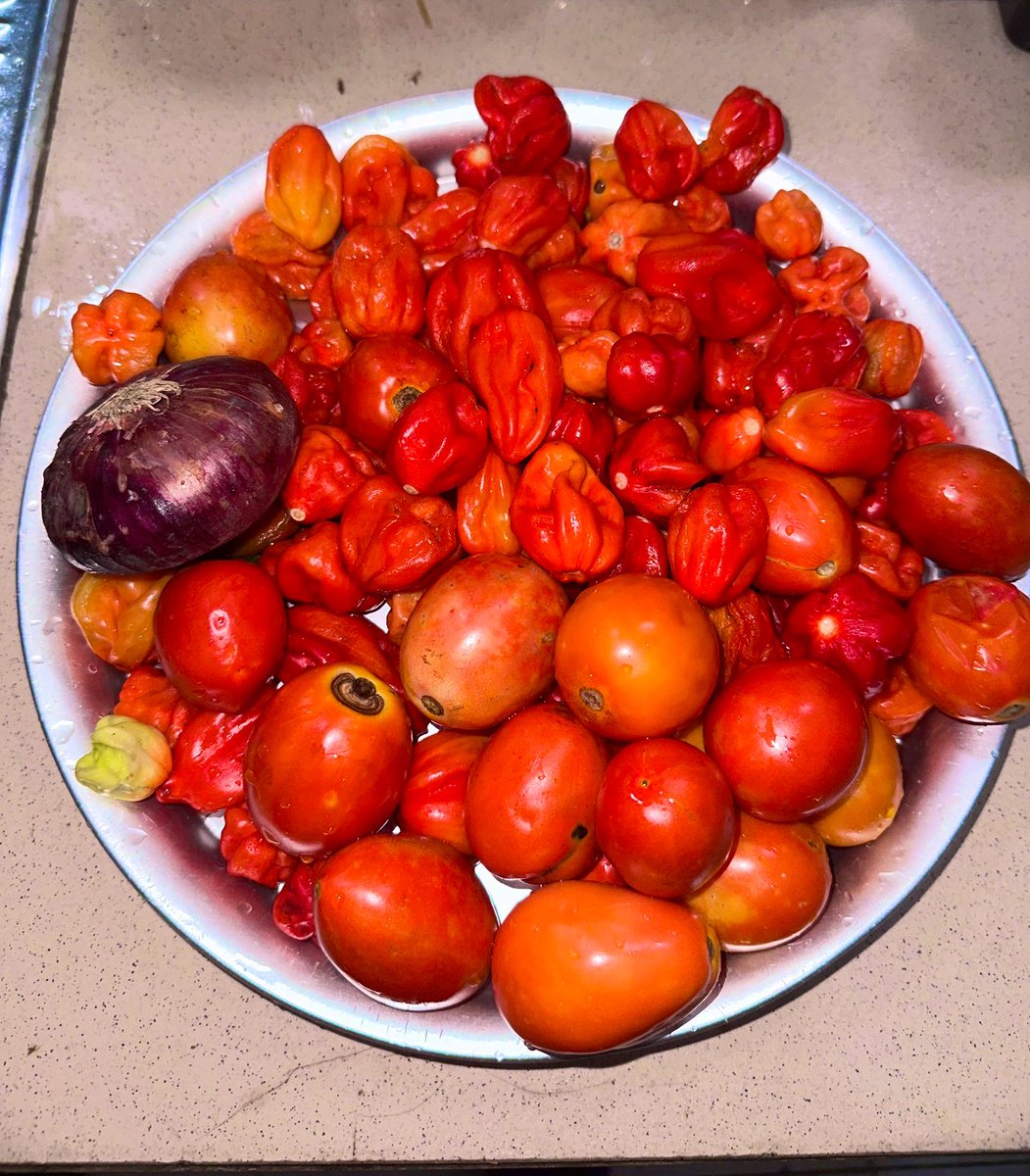 Dr Farouk tweet media