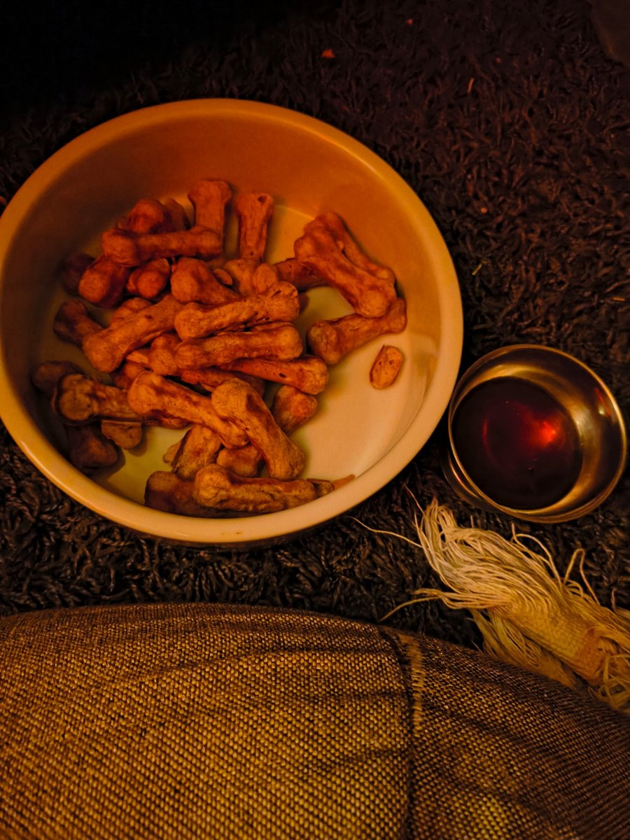 coyote.tel 🐺🌵🏳️‍⚧️ ☉∇ dd4e 🔞 tweet media