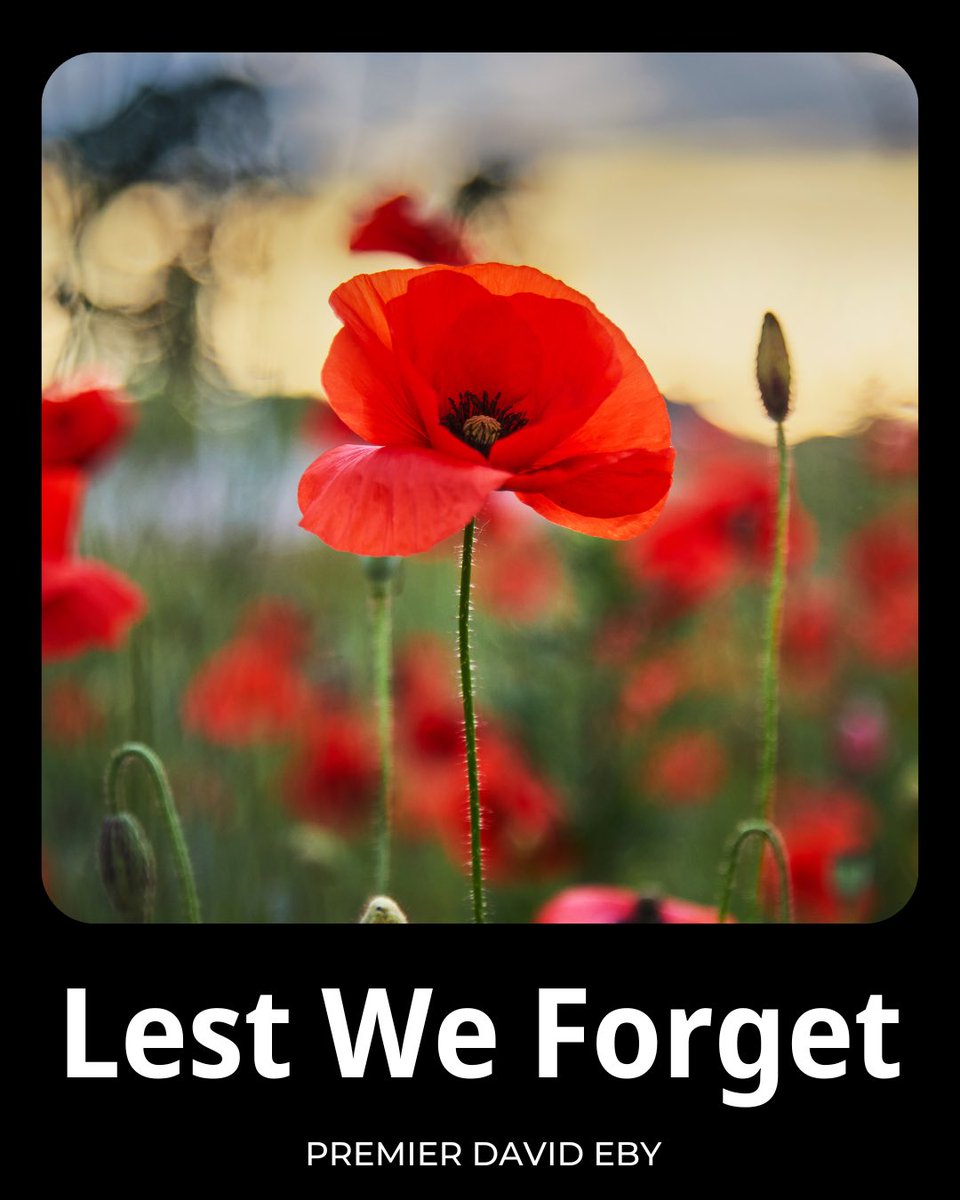 Today, we honour the fallen and reflect on the cost of war. 

We salute the bravery of those who served and the sacrifices of their families. 

As we remember, we also honour those who continue to serve today, preserving peace and security. 

Lest we forget.