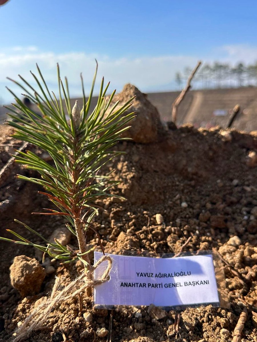 ▪️ Anahtar Parti Mudurnu İlçe Başkanlığı bugün düzenlenen “Sevdamız Yeşil Vatan” etkinliğinde Genel Başkanımız Yavuz Ağıralioğlu ve Anahtar Parti adına fidanlarını dikti. 🌱🇹🇷

Doğaya ve geleceğe duyarlılık gösteren bu anlamlı davranışlarından dolayı kendilerine teşekkür