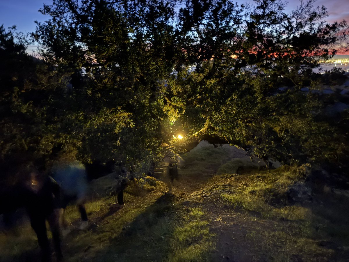 Richard Burton tweet media