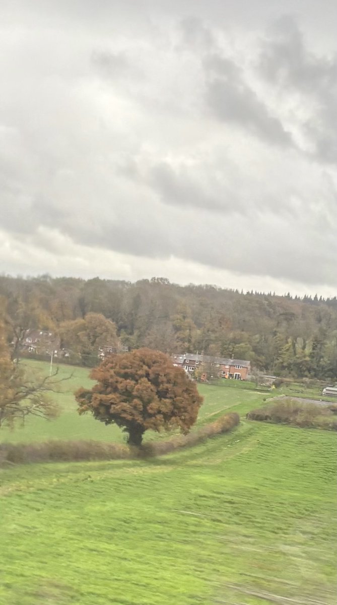 Train shot Tree of the Day