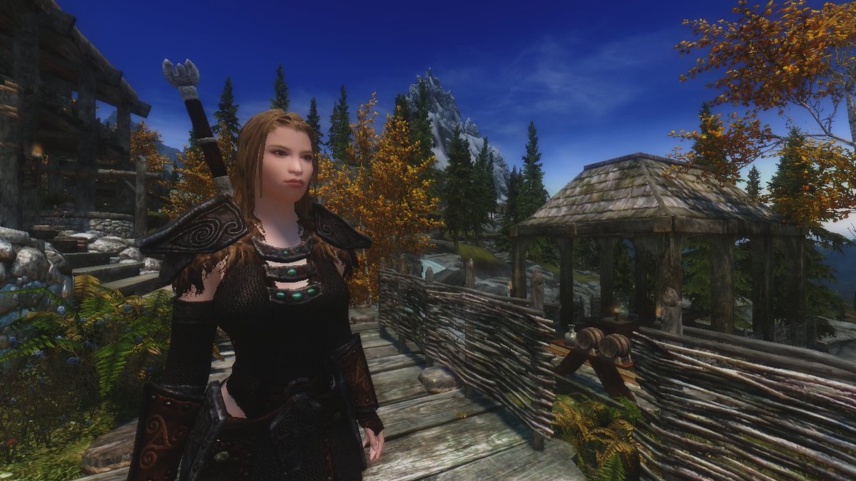 I really mis this game #Skyrim 11/11/11🎂 #FlacyLlecu