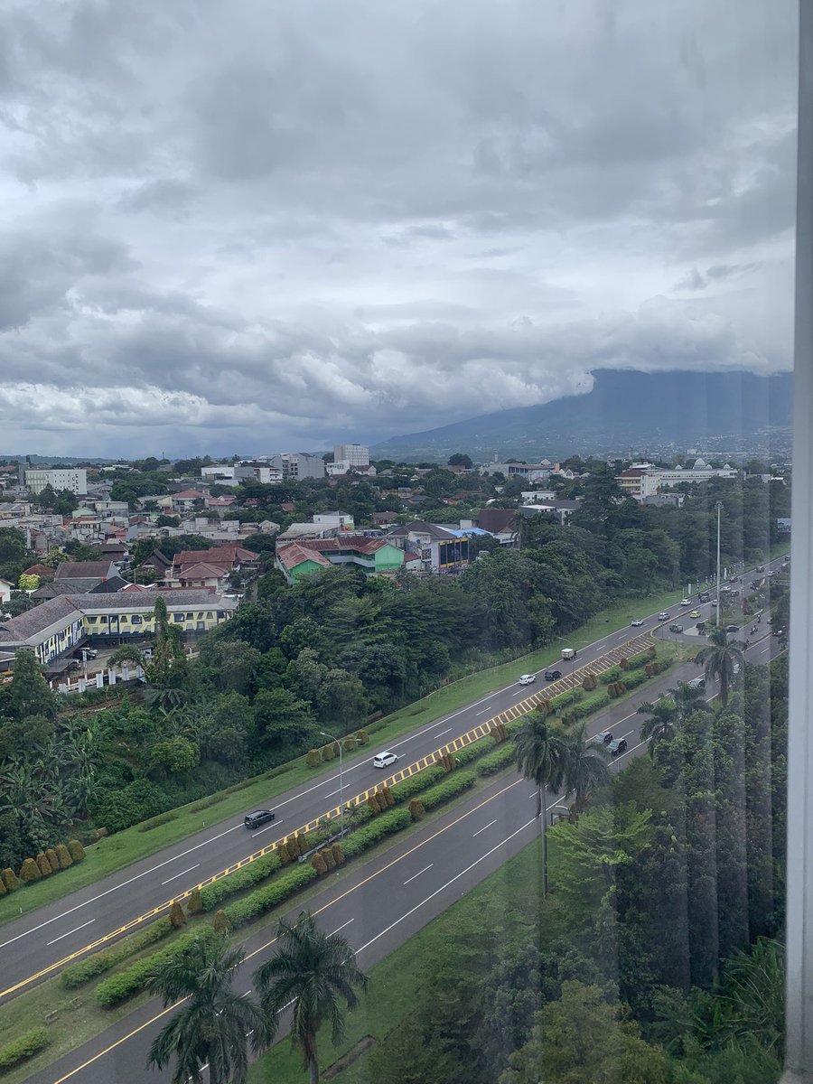 cl_eodash's tweet image. 