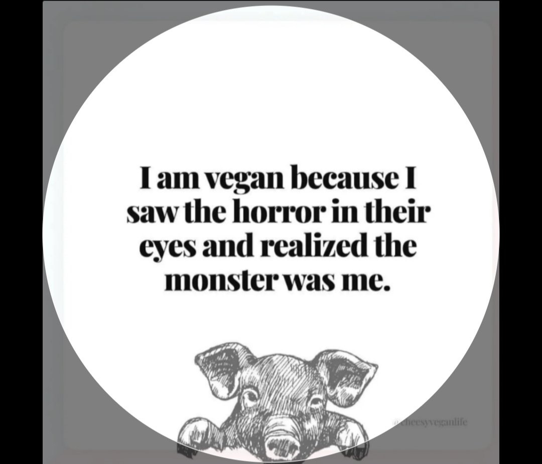 RavenTW's tweet image. It is a choice you make every day, &amp;amp; if you choose to consume animal products then you choose to be the cause of extreme animal cruelty. There is no grey area. Choose to not be a monster, choose vegan 💚
#BreakTheProgramming, #govegan, #animalliberation, #ditchdairy