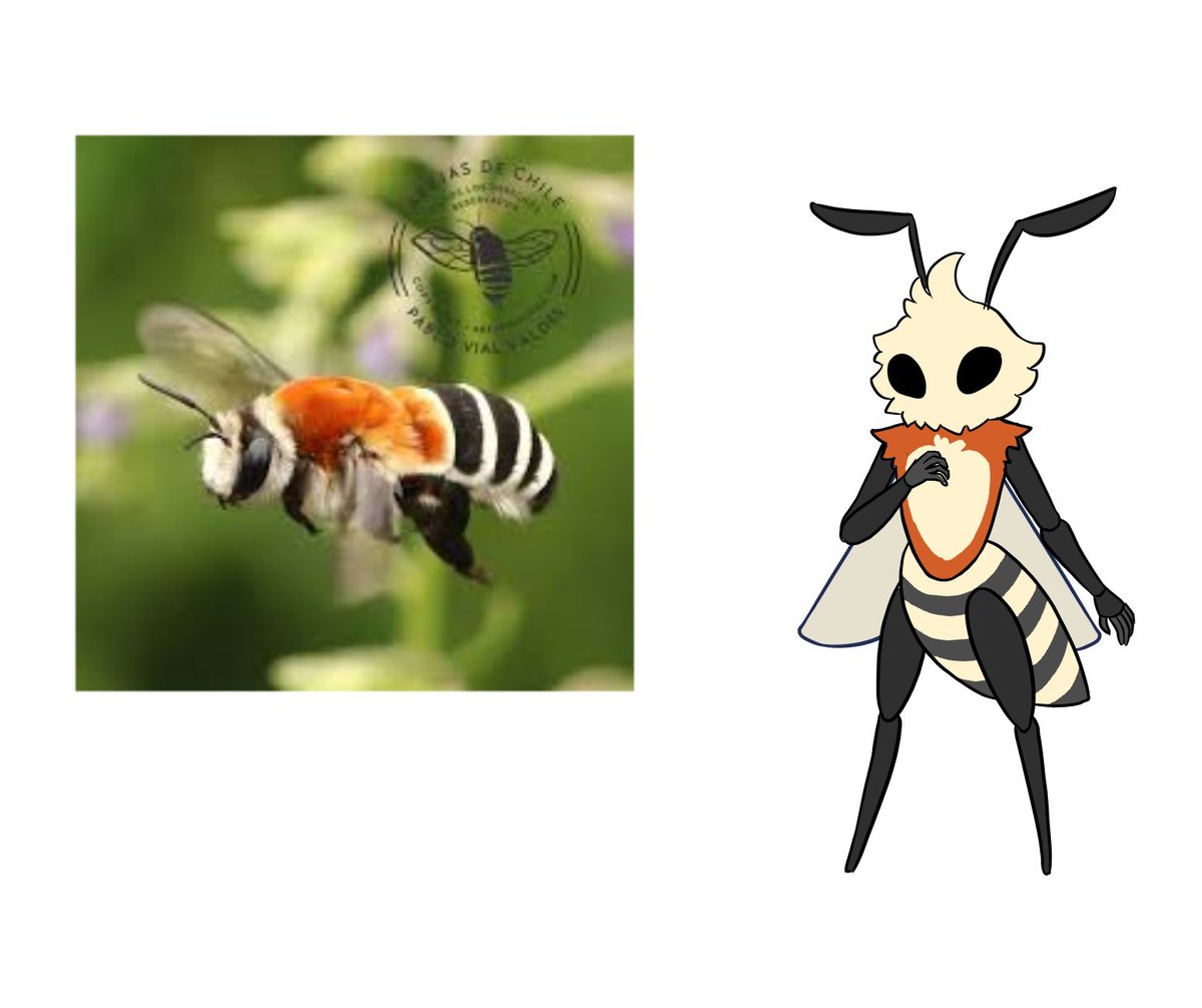 Susurro9 tweet media