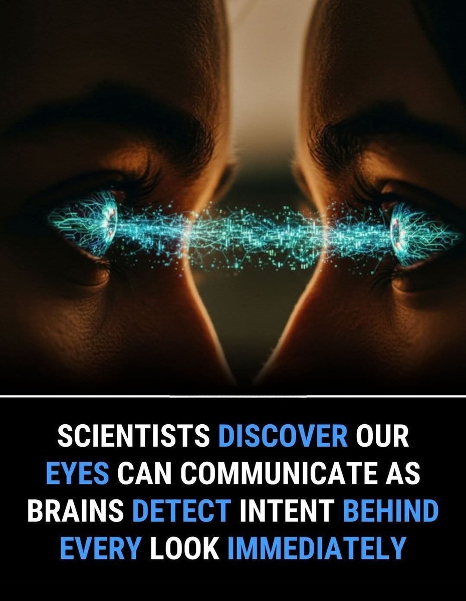 Scientists have confirmed something extraordinary about human connection our eyes can actually “talk.” New research reveals that the brain can instantly tell the difference between a simple glance and a gaze filled with intent. In just a fraction of a second, our neural circuits