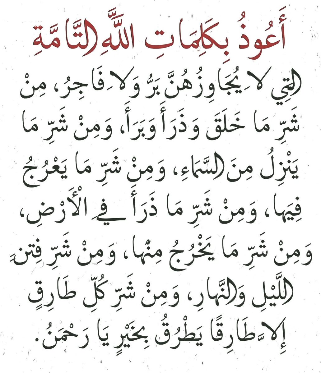 Mohamed98165611's tweet image. #الدنيا_مولعه