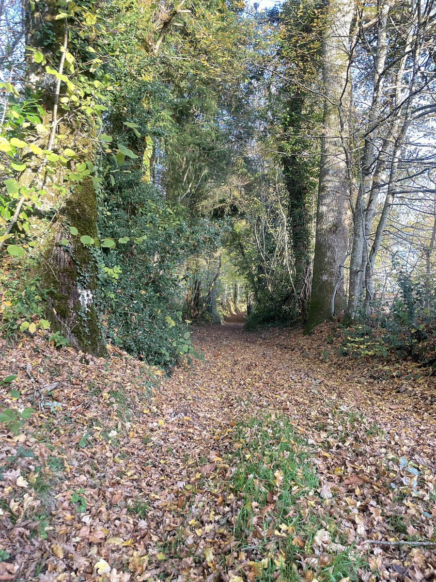 SERRE OLIVIER tweet media