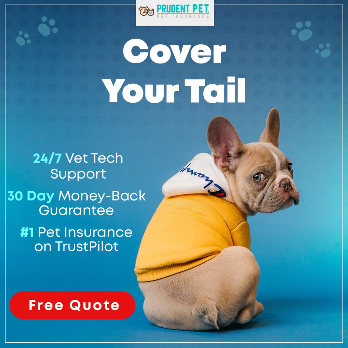 PayLessCT's tweet photo. Get a quote here... https://t.co/P0sHn2ZS4z https://t.co/8A7MpYXagD