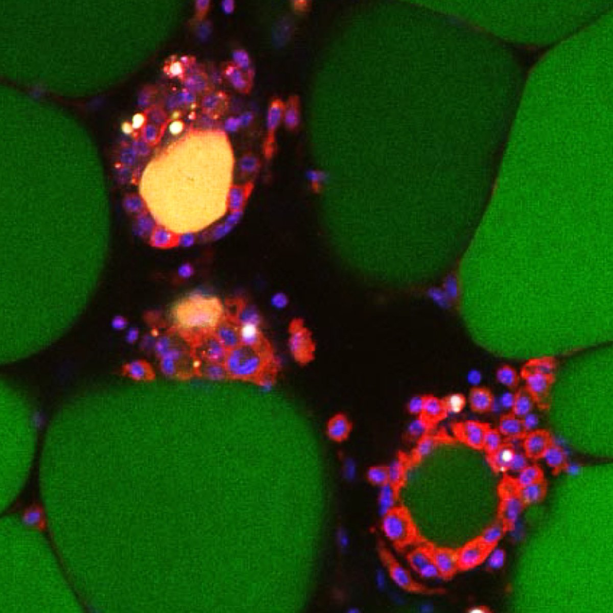 University of Southampton tweet media