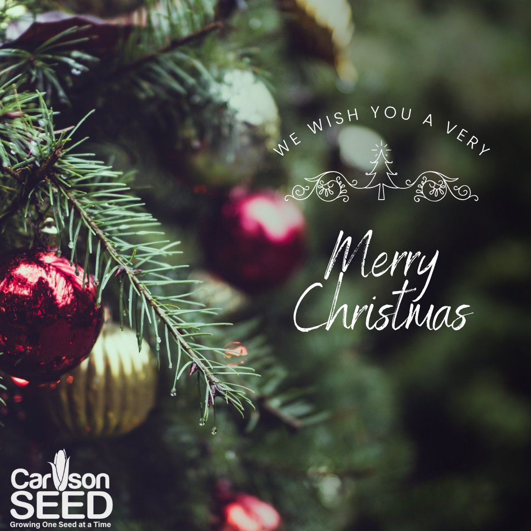 Carlson Seed tweet media